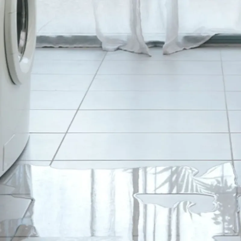 Appliance Leak Cleanup in Wrightsville, AR