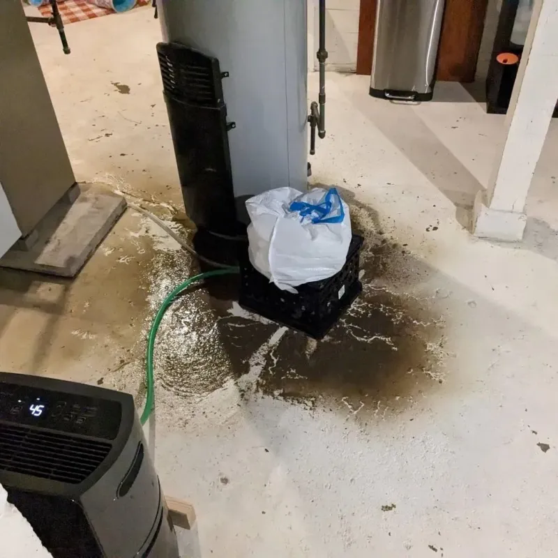 Sewage Backup Cleanup Service in Wrightsville, AR